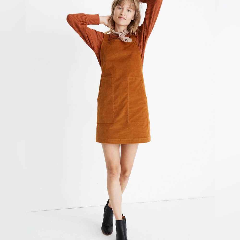 Madewell Velveteen Jumper Burnt Sienna